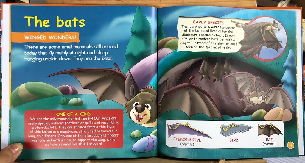 [USED]Prehistoric Animals 55: Flying Animals