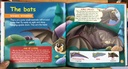 [USED]Prehistoric Animals 55: Flying Animals