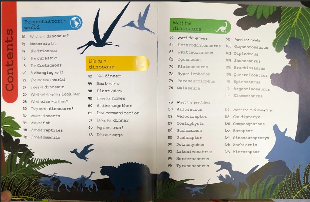 [USED]My Encyclopedia Of Very Important Dinosaurs