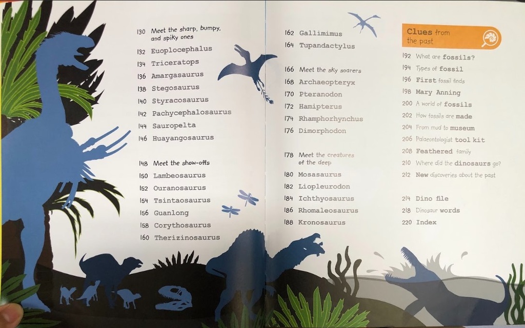 [USED]My Encyclopedia Of Very Important Dinosaurs