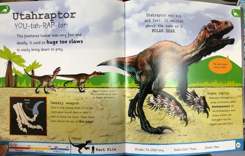 [USED]My Encyclopedia Of Very Important Dinosaurs