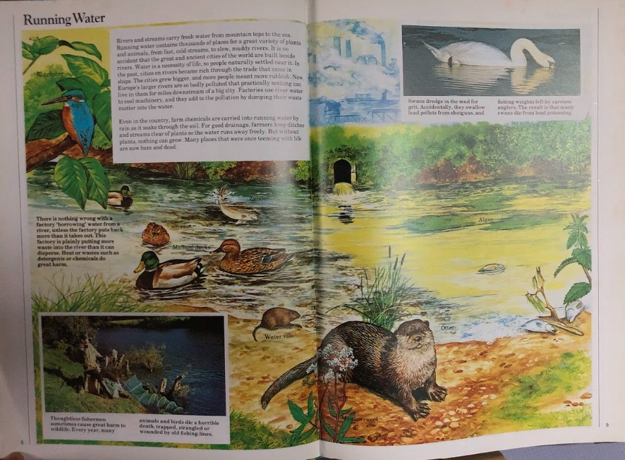 [USED]Children's Books Of The Countryside: Countryside In Danger