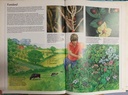 [USED]Children's Books Of The Countryside: Countryside In Danger