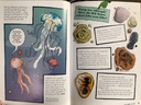 [USED]A Cartoon History Of The Earth 2: Life Finds Its Feet