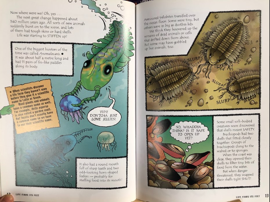 [USED]A Cartoon History Of The Earth 2: Life Finds Its Feet