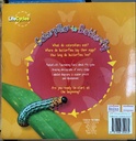 [USED]Life Cycles: Caterpillar to Butterfly