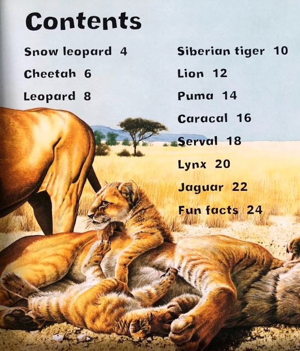 [USED]I Love Big Cats