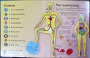 [USED]See Inside Your Body (with Lift-the Flaps)