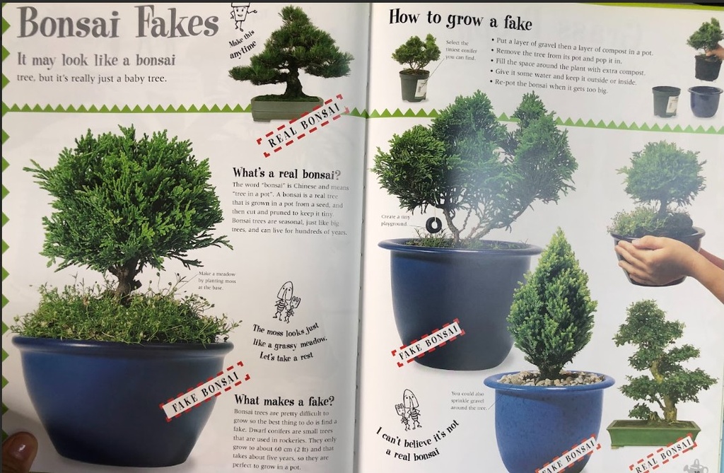 [USED]The Gardening Book