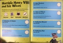 [USED]Horrible Histories: Terrifying Tudors Sticker Activity Book