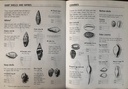 [USED]Usbrone Spotter's Sticker Books: Shells