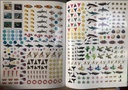 [USED]Ultimate Sticker File Sharks (Activities + Stickers + Facts)