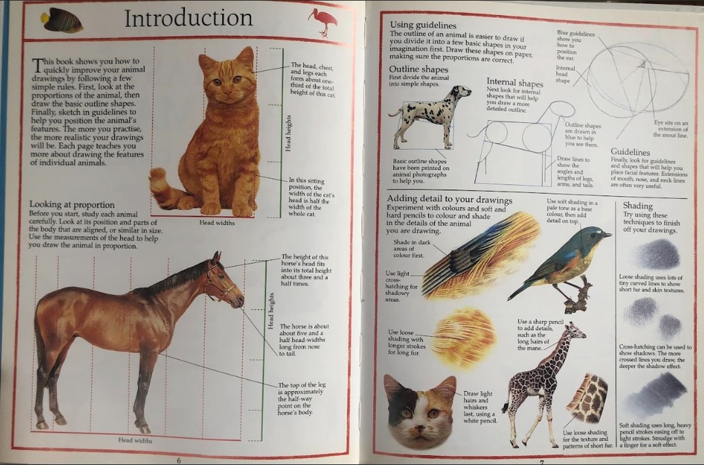 [USED]You-Can-Draw Fantastic Animals