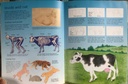 [USED]Usbrone Art Ideas Drawing Animals