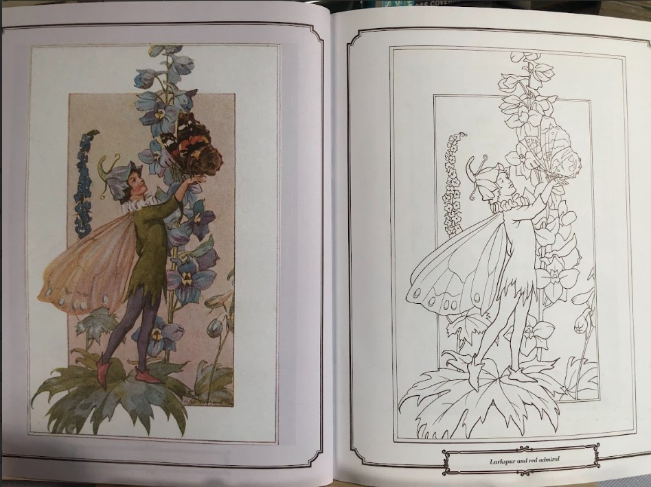 The Enchanting Fairies Colouring Book