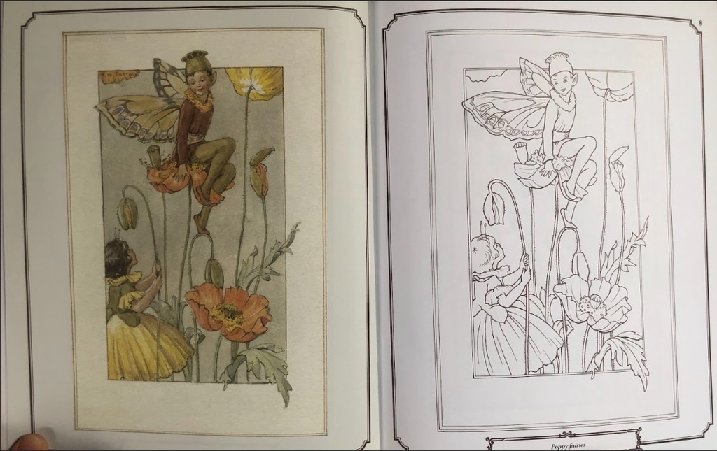 The Enchanting Fairies Colouring Book