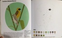 Birds Colour By Numbers