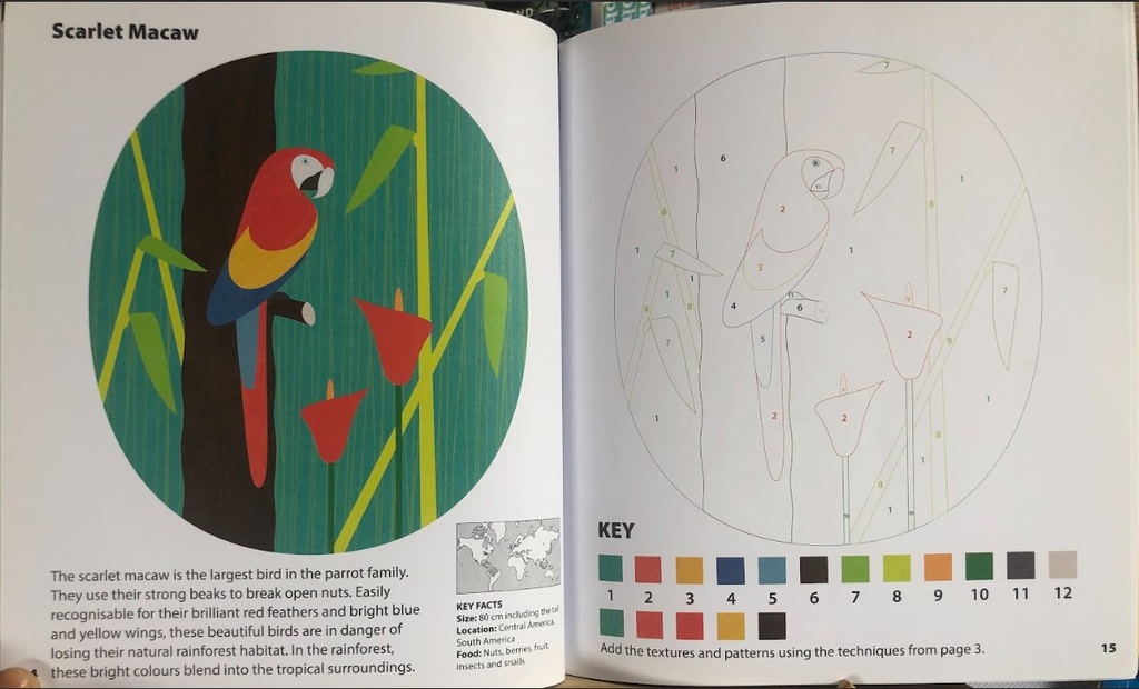 Birds Colour By Numbers