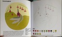 Birds Colour By Numbers