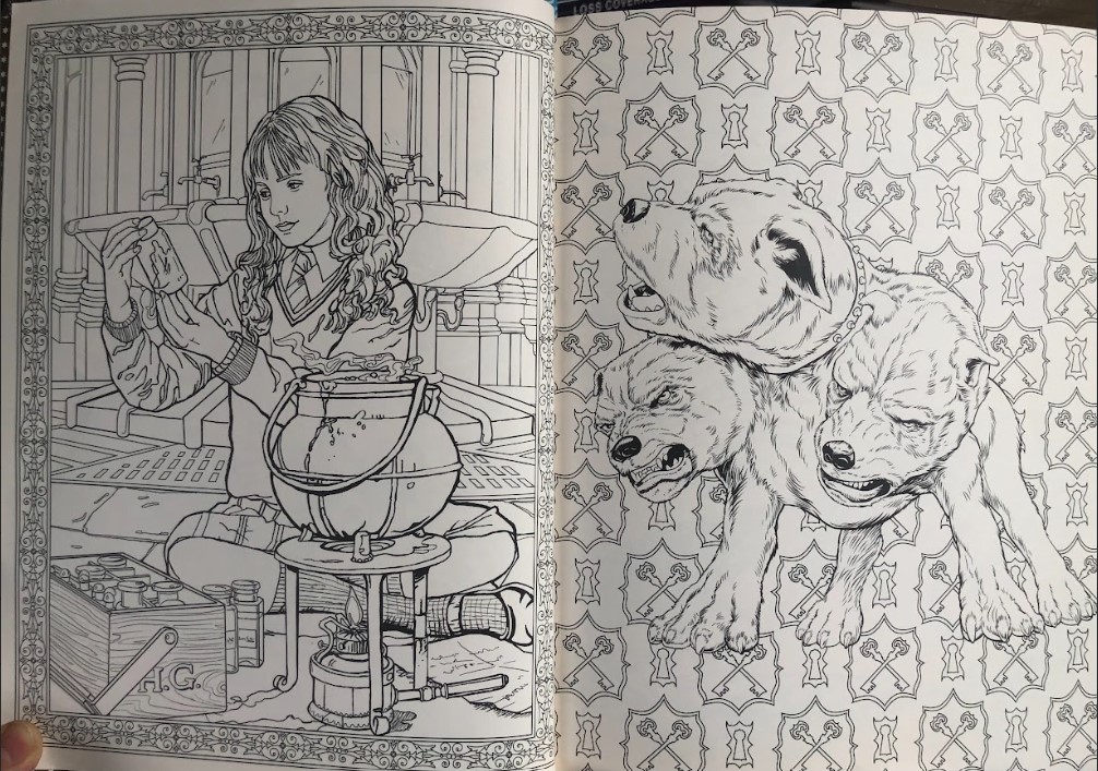 Harry Potter Colouring Book