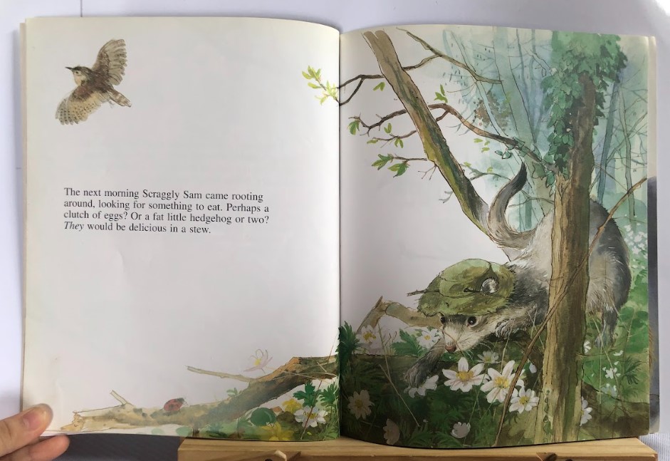 [USED]The Sleepy Dormouse