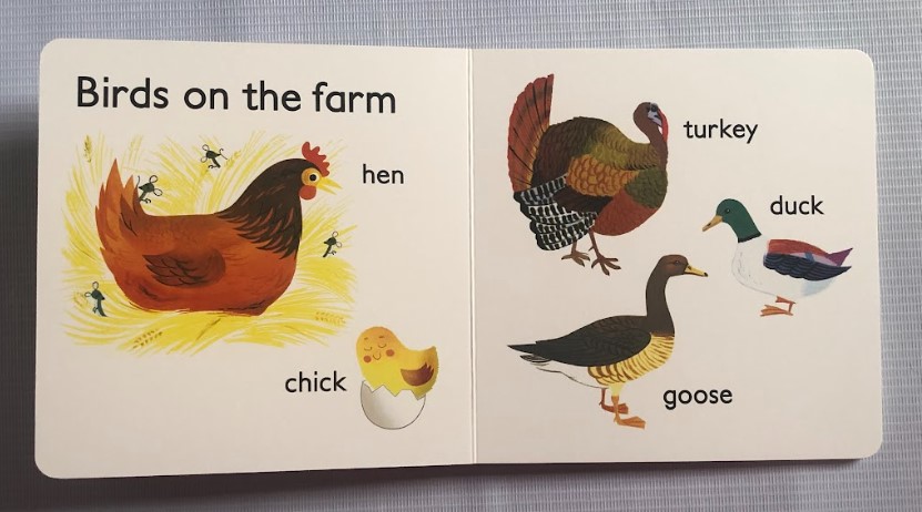 [USED] My First Book Of The Farm