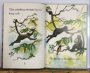 [USED] Usborne First Reading Level 3: Monkeys