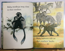 [USED] Usborne First Reading Level 3: Monkeys