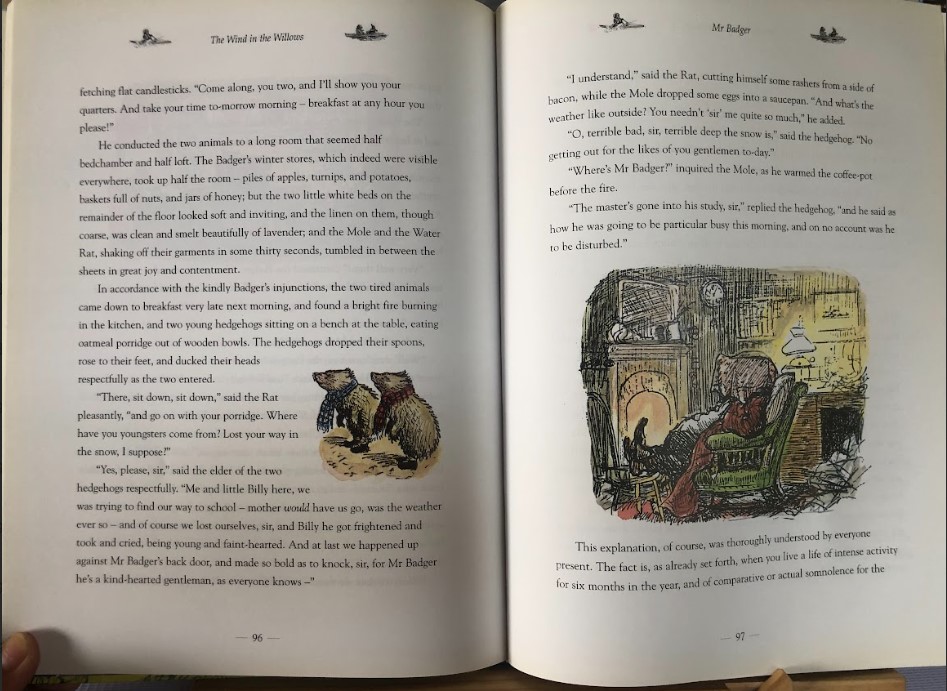 [USED]The Wind In The Willows