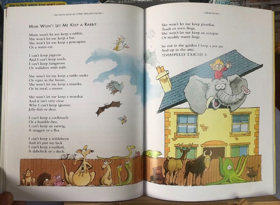 [USED]The Puffin Book Of Utterly Brilliant Poetry