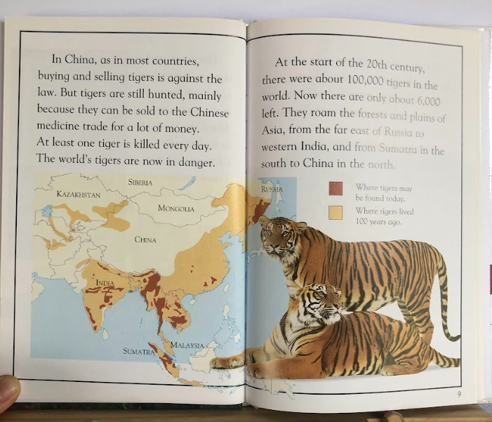 [USED] Tiger Tales