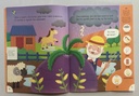 The Enormous Turnip Phonic Readers (Age 4-6)