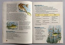 Primary Comprehension Book 4