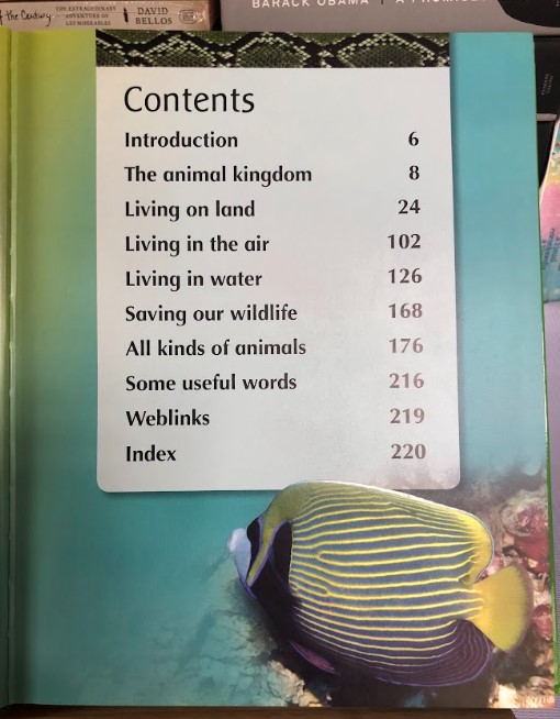 [USED]My First Animal Encyclopedia