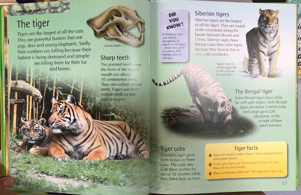 [USED]My First Animal Encyclopedia