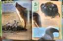 [USED]My First Animal Encyclopedia