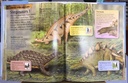 [USED]My First Dinosaur Encyclopedia