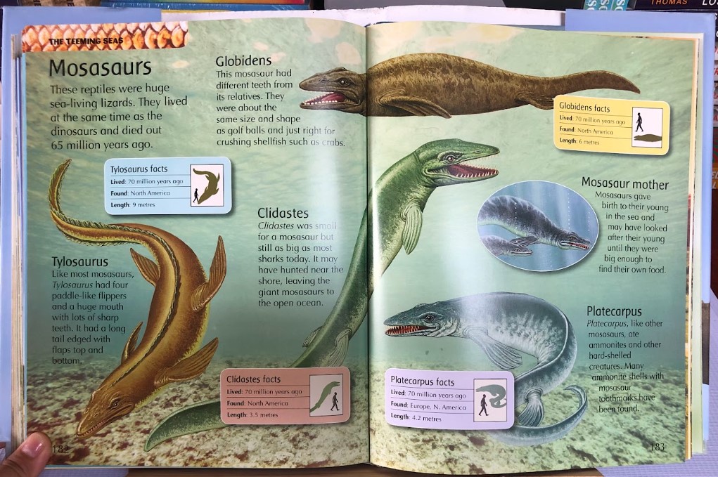 [USED]My First Dinosaur Encyclopedia