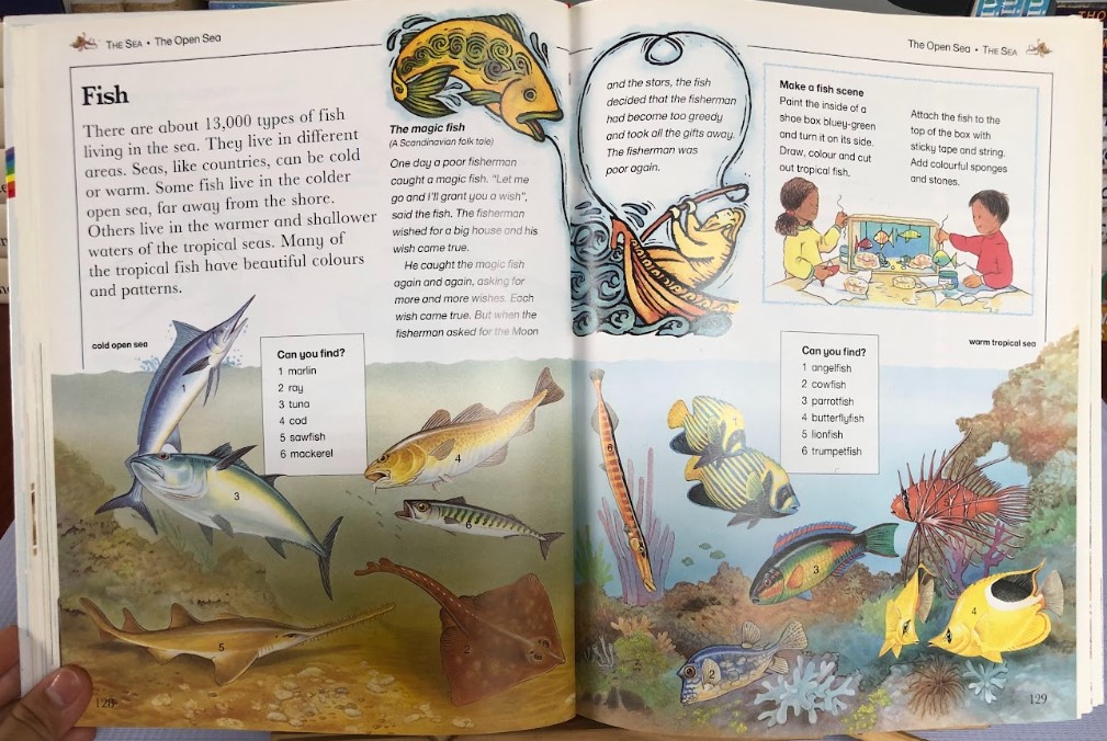 [USED]Kingfisher Child's World Encyclopedia