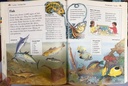 [USED]Kingfisher Child's World Encyclopedia