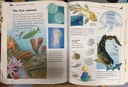 [USED]Kingfisher Child's World Encyclopedia