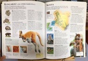 [USED]The Kingfisher Children's Encyclopedia