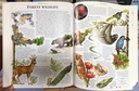 [USED]The Dorling Kindersley Children's Illustrated Encyclopedia