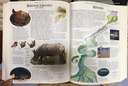 [USED]The Dorling Kindersley Children's Illustrated Encyclopedia