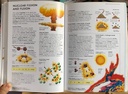 [USED]The Usborne Illustrated Dictionary Of Science