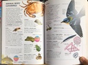 [USED]The Usborne Illustrated Dictionary Of Science