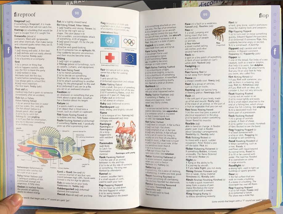 [USED]Usborne Illustrated English Dictionary