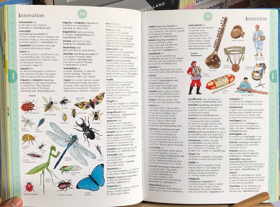 [USED]Usborne Illustrated English Dictionary