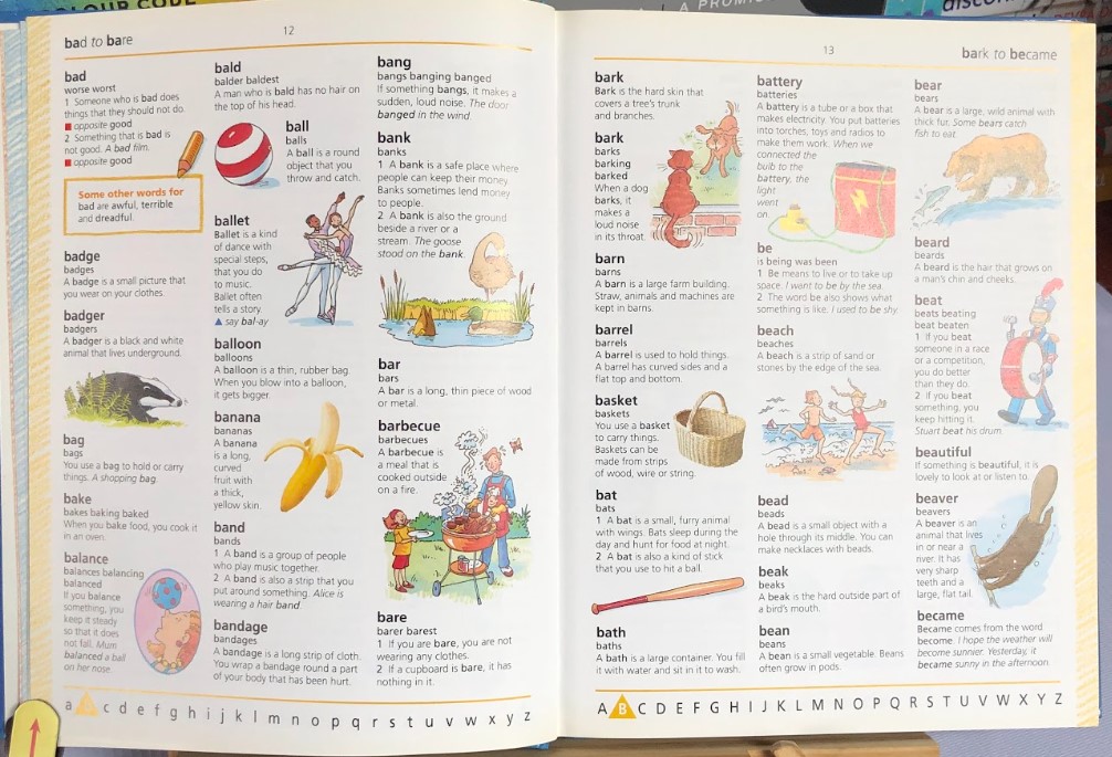 [USED]The Usborne First Dictionary