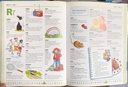 [USED]The Usborne First Dictionary